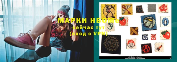 прущие грибы Армянск