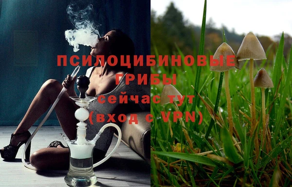 ГАЛЛЮЦИНОГЕННЫЕ ГРИБЫ Арсеньев