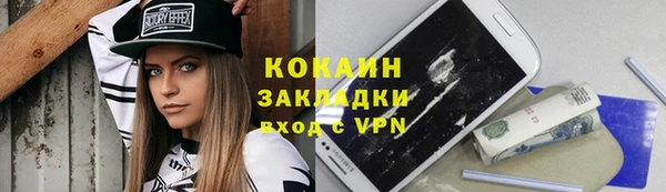 ГАЛЛЮЦИНОГЕННЫЕ ГРИБЫ Арсеньев