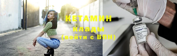 прущие грибы Армянск