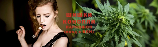 ГАЛЛЮЦИНОГЕННЫЕ ГРИБЫ Арсеньев