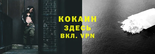 ГАЛЛЮЦИНОГЕННЫЕ ГРИБЫ Арсеньев