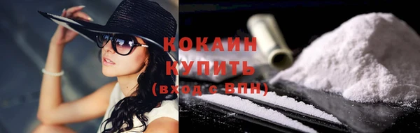 прущие грибы Армянск